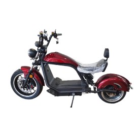 Madat Citycoco I3 electric scooter 17-13 inch 45km/h 30 Ah battery 80km