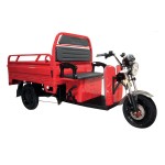 Madat Volta VT5 electric tricycle bike e trike cargo transporter 12 inch 42km/h 60Ah VRLA gel battery 50km