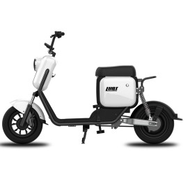 Madat Luqi Q3 Electric Scooter E Scooter 10 inch 25km/h 30 Ah battery 50-60km