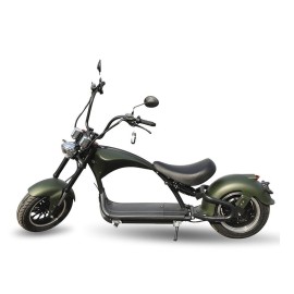 Madat 1P electric scooter Chopper Citycoco 12-13 inch 25 km/h 30 Ah battery 55-75km (without side bags)