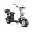 Madat O citycoco electric scooter 1500W 40ah up to 120 km 45 km/h with top case