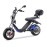 DAYI E-Thor 3.0A E-Scooter Electric Scooter 12 Inch 45Km/H 30Ah Battery 60-65Km (with trunk and side bag)