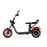 DAYI E-Gen 4.0AL E-Scooter Electric Scooter 12 Inch 45Km/h 40Ah Double Battery 95-105Km without trunk and side bag