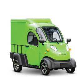 Elektrofrosch MAX Kleintransporter 45 km/h 2500W 
