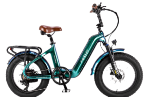 Bike F20 Master Transparent Studio