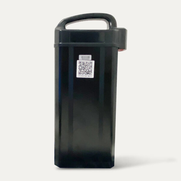 Engwe Akku 48V 20 Ah
